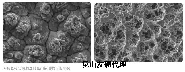 西藏蔡司西藏扫描电镜